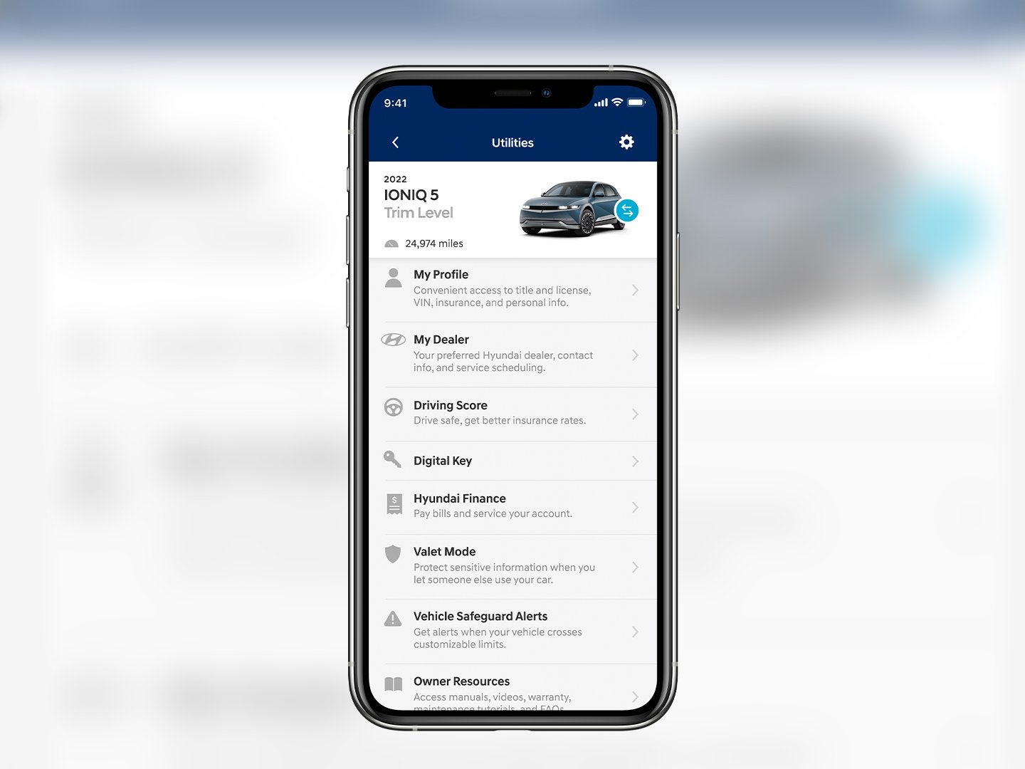 Bluelink App
